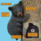 Bits and Pieces – Bear Cub Tree Hugger - Yard Decorations - Adorable Tree Sculpture - Outdoor Decoration - Garden Peeker Yard Art - 13-3/4" x 8"