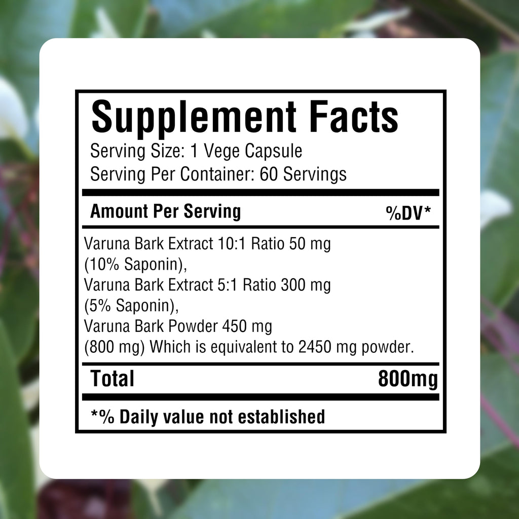 Herbsforever Varuna Nurvala Extract Capsules - Vegan & Gluten Free | Plant Based Supplement for Bladder & Kidney Function, 800 mg per Capsules (60 Nos)