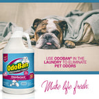 OdoBan Disinfectant Concentrate and Odor Eliminator, Made in the USA, Cotton Breeze Scent, 2 Gallons