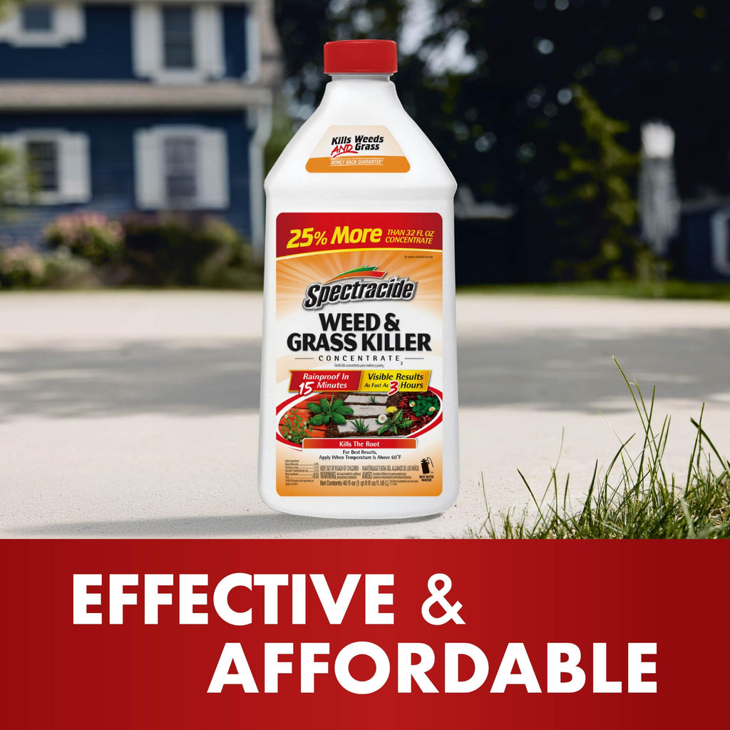 Spectracide Weed & Grass Killer Concentrate for Driveways & Walkways, 40 Oz