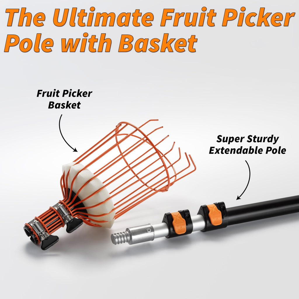 EXTEND-A-REACH 5-30 ft Telescoping Fruit Picker Pole with Basket