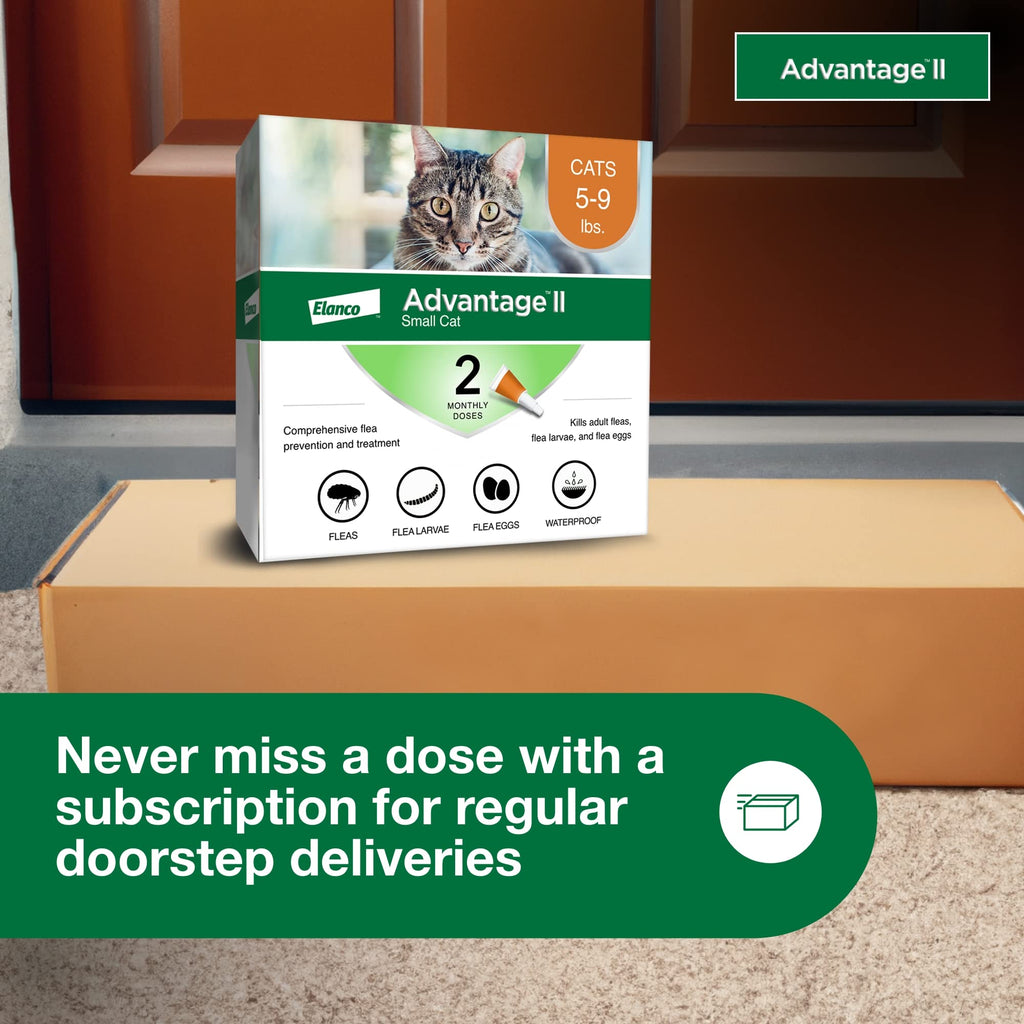 Advantage II Small Cat Topical Flea Treatment & Prevention, 2ct