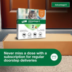 Advantage II Small Cat Topical Flea Treatment & Prevention, 2ct