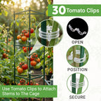 K-Brands Tomato Cage - Tomatoes Plant Stakes Support Cages Trellis for Garden and Pots (3 Pack - Extra Tall Upto 68 inches)
