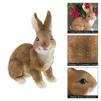 CLEVER GARDEN Brown Rabbit Garden Statue Outdoor Décor, Resin Figurine Decoration for Lawn, Yard, Patio, Porch, and More