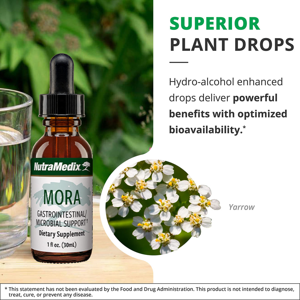 NutraMedix Mora Yarrow Extract - Yarrow Herb, BlackBerry Leaves and Capirona Bark Extract for Digestive Health, Gut Support & Healthy Inflammatory Response (1oz / 30ml)