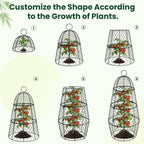 6 Pack Garden Cloche Plant Protectors from Animals, Adjustable 3-Tier Chicken Wire Plant Cages for Outdoor Plants, Stackable Metal Garden Cloches Keep Rabbits, Squirrels & Birds Away, 17.3" x 11.4"