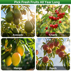 Walensee 5.5FT Fruit Picker with Basket, 35-65 Inch Compact Fruit Picker Pole, Lightweight Cherry Picker Tool for Pear, Mango, Apple, Orange, Lemon, Avocado Harvesting