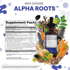 Tongkat Ali Liquid Drops Shilajit, Ashwagandha, Turkesterone, Fadogia Agrestis, Magnesium, Irish Sea Moss, and Zinc Herbal Supplement by Clean Nutra