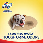 Resolve Urine Destroyer Carpet Cleaning Machine Formula, Safe for Bissell, Hoover & Rug Doctor, Carpet Cleaner, Carpet Cleaner Solution, 96 OZ