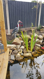 Pond H2o Blue Heron Decoy with Legs & Stake 30'' (76cm) Tall