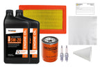 Generac 5w-20 Maintenance Kit for 20kw and 22kw with Oil (2013+ Evolution Models) Model: 0j932300