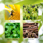Nature's Sunshine Energ-V - Herbal Blend to Support Energy Levels (100 Capsules)