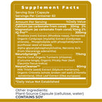 Premier Research Labs CereVen - Herbal Brain Supplement for Memory & Focus Featuring Rhodiola Rosea, Rhodiola Rosea Supplement for Brain Health Support - 60 Vegetarian Capsules