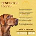 Taste of the Wild High Prairie Adult Dry Dog Food, Roasted Bison, 28lb