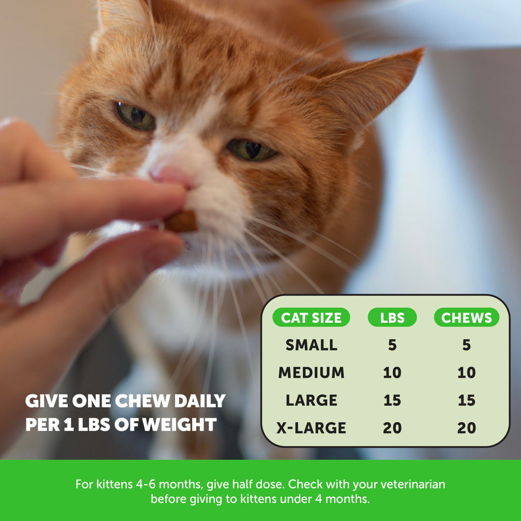 Pet Honesty Vet Backed Cat Hairball Remedy Chews, Chicken, 90-Day Supply