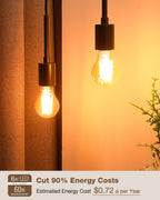 Lafoy A19 Amber 2200K Soft Warm E26 Light Bulbs, Dimmable Vintage LED Edison Bulbs 60 Watt Equivalent, 550 Lumen Medium Base Lightbulbs, Antique Old-Fashioned Style 60W Replacement, 120V 12 Pack