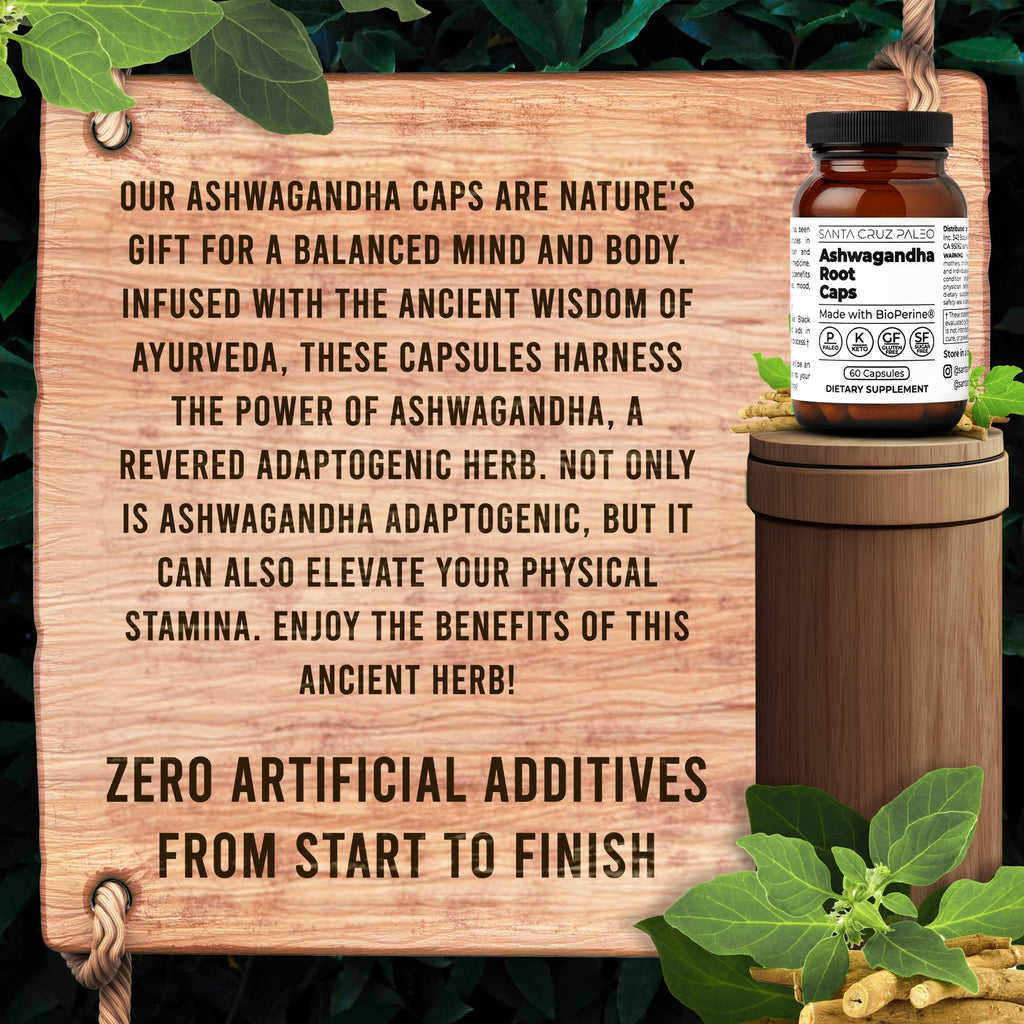 Santa Cruz Paleo, Ashwagandha Root with BioPerine, Herbal Supplement for Focus, Stress Support Adaptogen for Men and Women, Gluten Free, Vegetarian, Keto Friendly, 600MG Capsules, 60 Count