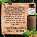 Santa Cruz Paleo, Ashwagandha Root with BioPerine, Herbal Supplement for Focus, Stress Support Adaptogen for Men and Women, Gluten Free, Vegetarian, Keto Friendly, 600MG Capsules, 60 Count