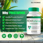 Prostafense Prostate Health Supplements for Men Capsules, Official Prostafense All Natural Support Pills - Maximum Strength, Premium Formula for Daily Wellness, Prosta Fense Reviews (2 Pack)