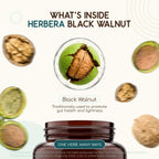 HerbEra Black Walnut 500 mg | USDA Organic Vegan Capsules | Digestive & Antioxidant Support, Juglans Nigra Dried Hull | Herbal Supplement (60 Capsules)