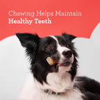 DreamBone Mini Bone Rawhide-Free Dog Treats With Real Protein, 50 Count
