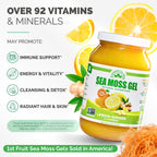 EverSmith Organics - Wildcrafted Irish Sea Moss Gel | Made in USA | Rich in Vitamins & Minerals | Sea Moss Gel Raw | Nutritional Supplement | Lemon Ginger (16 oz)