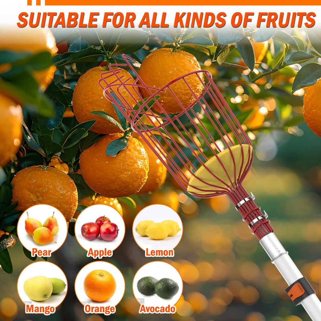 LAANPOLE 26FT Reach Fruit Picker Pole with Basket Telescoping, Apple Picker with 5-20FT Telescoping Pole for Apple Orange Lemon Mango Avocado Guava Fruit Picking