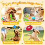 KIPRITII 25 Pack Various Dog/Puppy Toys Set for Small & Medium Dogs