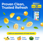 Compac Home Plink Garbage Disposal Cleaner and Deodorizer 60ct VALUE PACK - Lemon