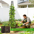MQJIAZHI Garden Obelisk Trellis for Climbing Plants Outdoor, 63 Inch Height Adjustable Gardening Trellis, Steel Plastic Coated Plant Support for Indoor & Outdoor Multiple Climbing Plants(2PCS)
