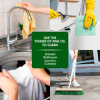 PINALEN 2X Max Aromas Concentrated Multipurpose Cleaner - Fresh Pine Scent - (2 Pack) 108 fl oz - All Purpose Cleaner for Kitchen, Bathroom, Floors & Outdoors