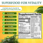Sunlit Best - USDA Organic Spirulina Tablet - Natural Super Greens Supplements for Immune Support, Gut Health & Boost Energy Tablets with Chlorophyll, Vegan & High Protein Non GMO, 1000 Superfood Tabs