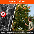 TONYINGO 30FT Reach Fruit Picker with Basket, Telescoping Aluminum Pole 5-24FT, Dual Flip-Lock & Screw Fixing Design for Apple Orange Mango Avocado Lemon Picking