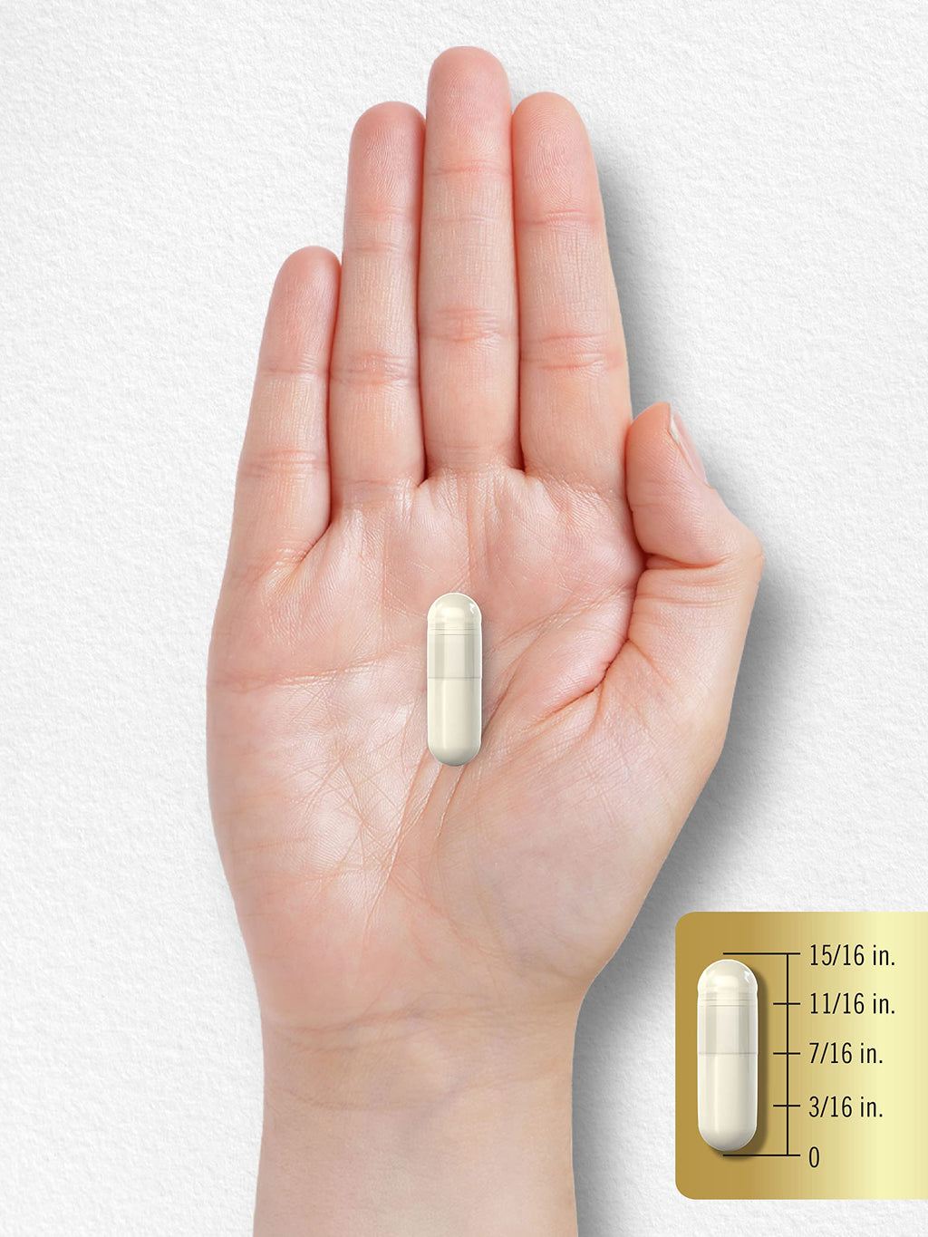 Carlyle ZMA Supplement for Men and Women | 90 Capsules