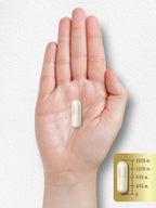 Carlyle ZMA Supplement for Men and Women | 90 Capsules
