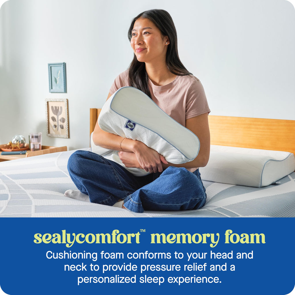 SEALY Dreamlife Standard Size Contour Memory Foam Pillow with Surface Guard Technology, Removable Machine-Washable Cover, 1 Year Limited Warranty