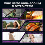 Venture Pal High Sodium Sugar-Free Electrolyte Powder Packets - Hydration Packets with Sodium, Potassium & Magnesium | Zero Calories | Vegan, Keto, and Paleo Friendly | 30 Sticks