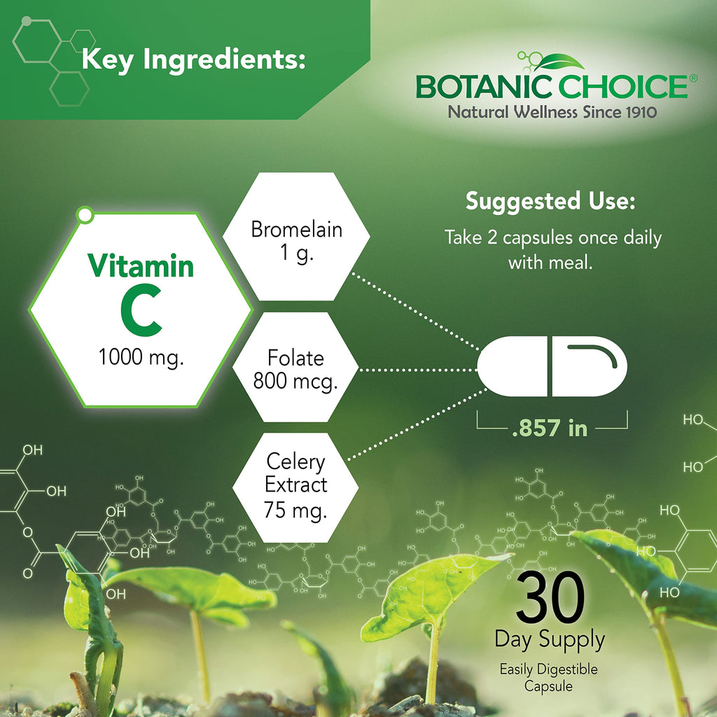 Botanic Choice Uric Acid Complex Supplement - Foot Joint Support-Help Soothe Discomfort with Celery Seed & Bromelain -Gluten Free, Non-GMO, 60 Caps