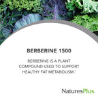 NaturesPlus PRO Berberine 1500 mg - 60 Tablets - Supports Healthy Metabolism - Non-GMO, Vegan & Gluten Free - 30 Servings