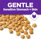Purina Cat Chow Gentle Sensitive Stomach & Skin Dry Cat Food, 13 lb Bag