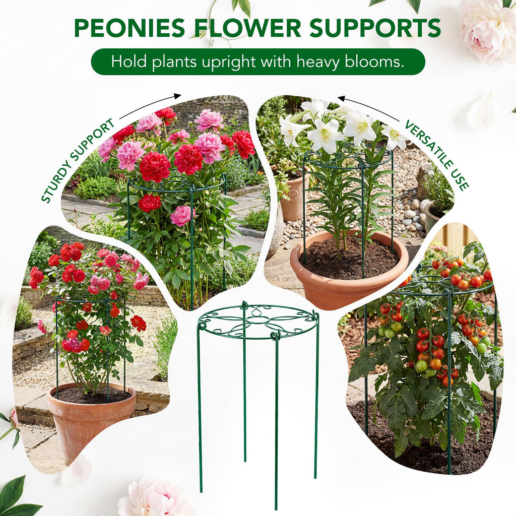 6 Pack 16 x 24 Inch Peony Cages and Supports, 16" D x 24" H Grow Through Plant Support Grid Brace for Outdoor Plants Flower, Metal Peony Stake Peony Ring Hoops Frame Support for Rose Tomato Vegetables