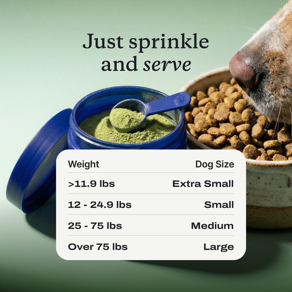 PetLab Co. ProBright Dental Powder for Medium Sized Dogs