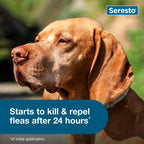 Seresto 8-Month Flea & Tick Collar for Large Dogs Over 18 lbs., 1ct