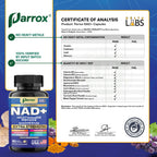 NAD+ Supplement, Liposomal Nicotinamide Riboside, 10-in-1 Strength, 2 Pack