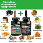 AyBet Sea Moss & Himalayan Shilajit Supplement Combo–Herbal Formula with Black Seed Oil, Ashwagandha, Rhodiola, Turmeric, Ginger – Mineral, Antioxidant Support–Organic, Halal, Vegan Capsules–240 Count