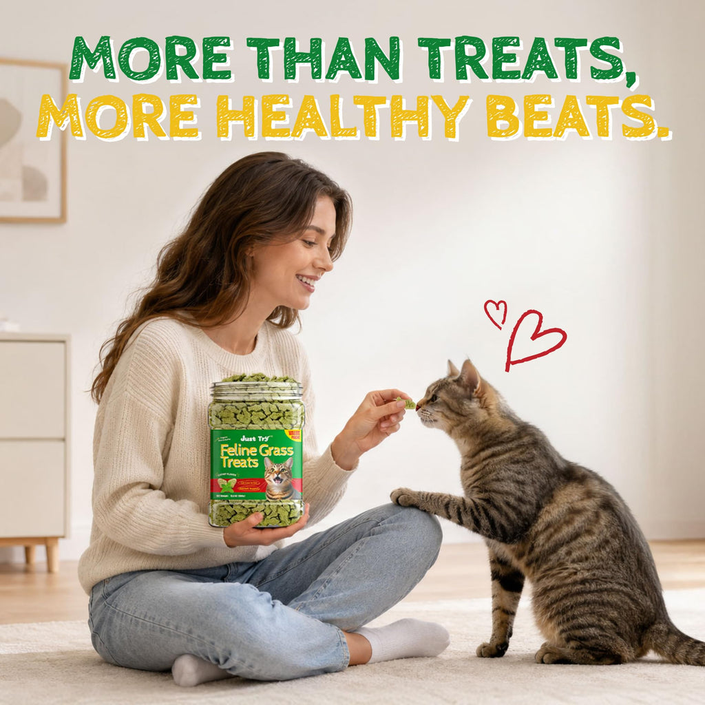Just Try Cat Grass Treats for Indoor Cats Hairball Control 13.4 OZ