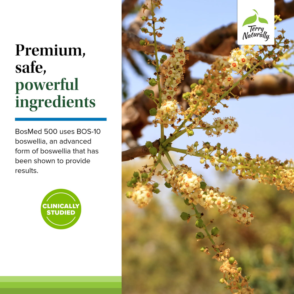 Terry Naturally BosMed 500 Extra Strength - Boswellia Serrata Extract Supplement - Supplement for Healthy Lung Support - Herbal Supplement Formula with High Levels of AKBA - 120 Softgels