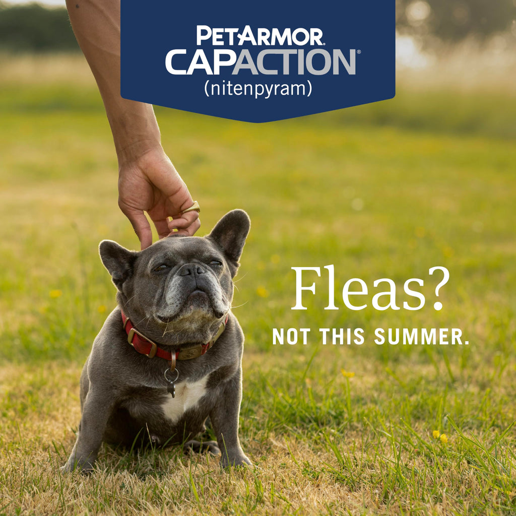 PetArmor CAPACTION Oral Flea Tablets Dogs 2-25 lbs, Nitenpyram, 6-Dose