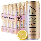 BRĒZ FLOW Lion’s Mane Mushroom Drink 48 Pack, Lemon Elderflower, Supports Mood & Focus, Non-Alcoholic Sparkling Adaptogen Drink, Functional Mushrooms, Feel Clear, Calm & Refreshed- 12 Fl oz Cans